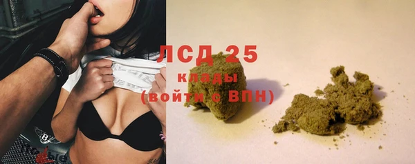 прущие грибы Зеленокумск