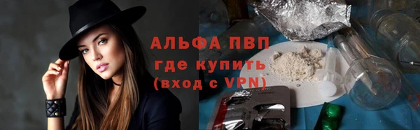 прущие грибы Зеленокумск