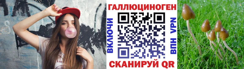 Псилоцибиновые грибы ЛСД  дарнет шоп  kraken зеркало  Свирск 